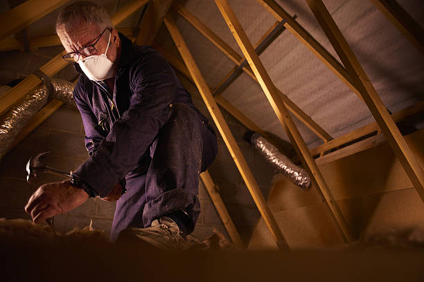 Best Geographic-Specific Insulation Services in Bayard, NM