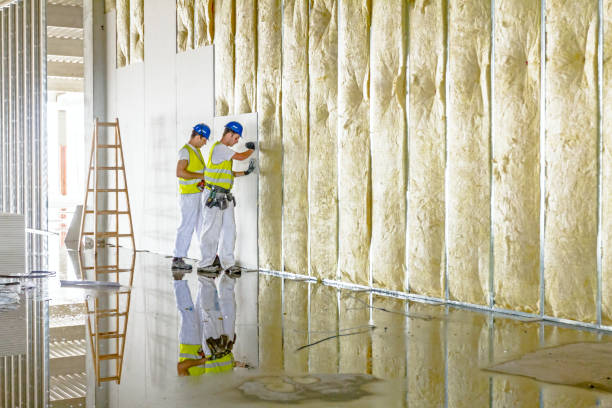 Types of Insulation We Offer in Bayard, NM